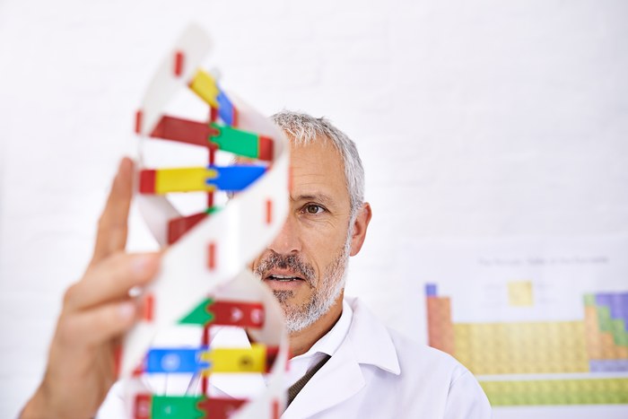 Un médecin montre des gènes