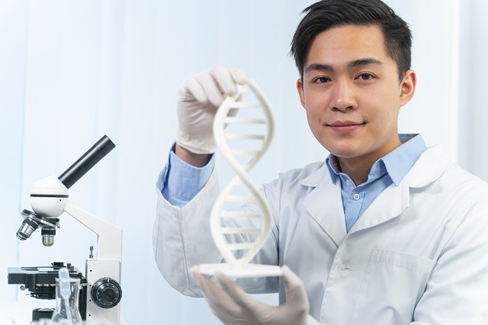 Un médecin montre des gènes