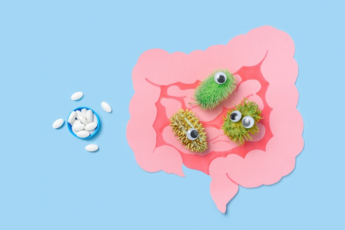 Illustration des probiotiques